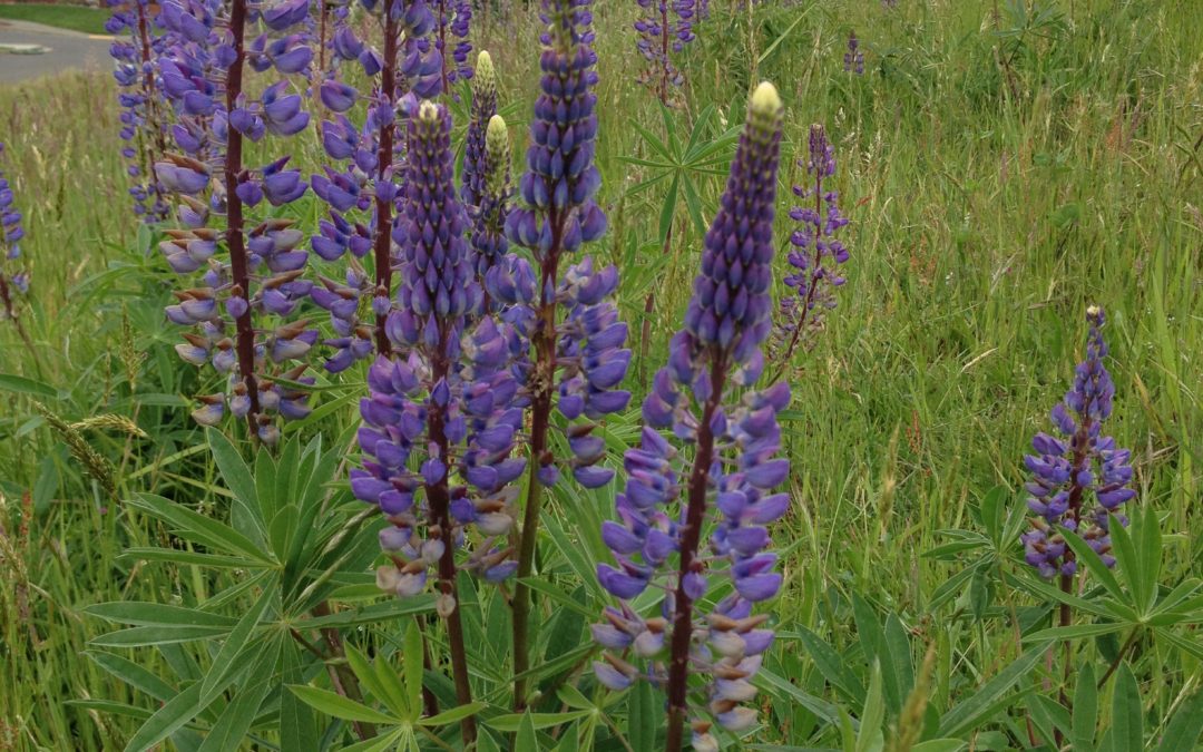 Where Does Love Live?