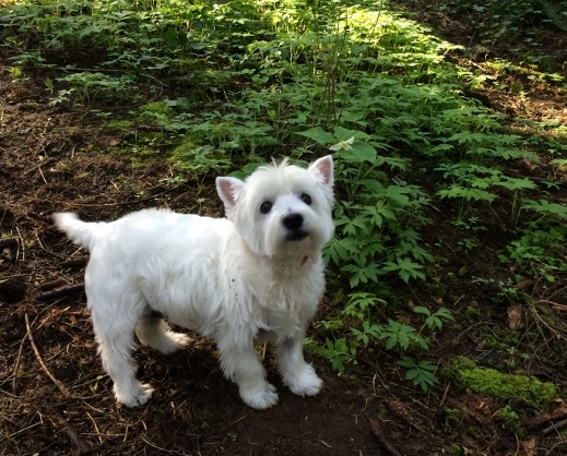 Find the Beautiful Side of Guilt