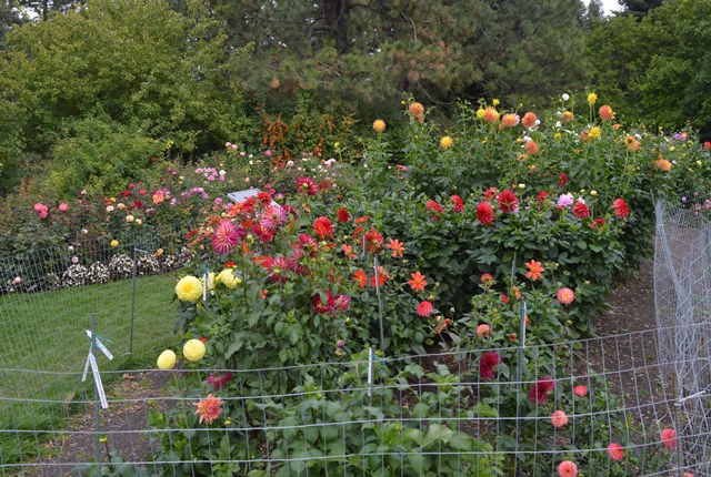 Are We Colorful, Flavorful and Awesome?