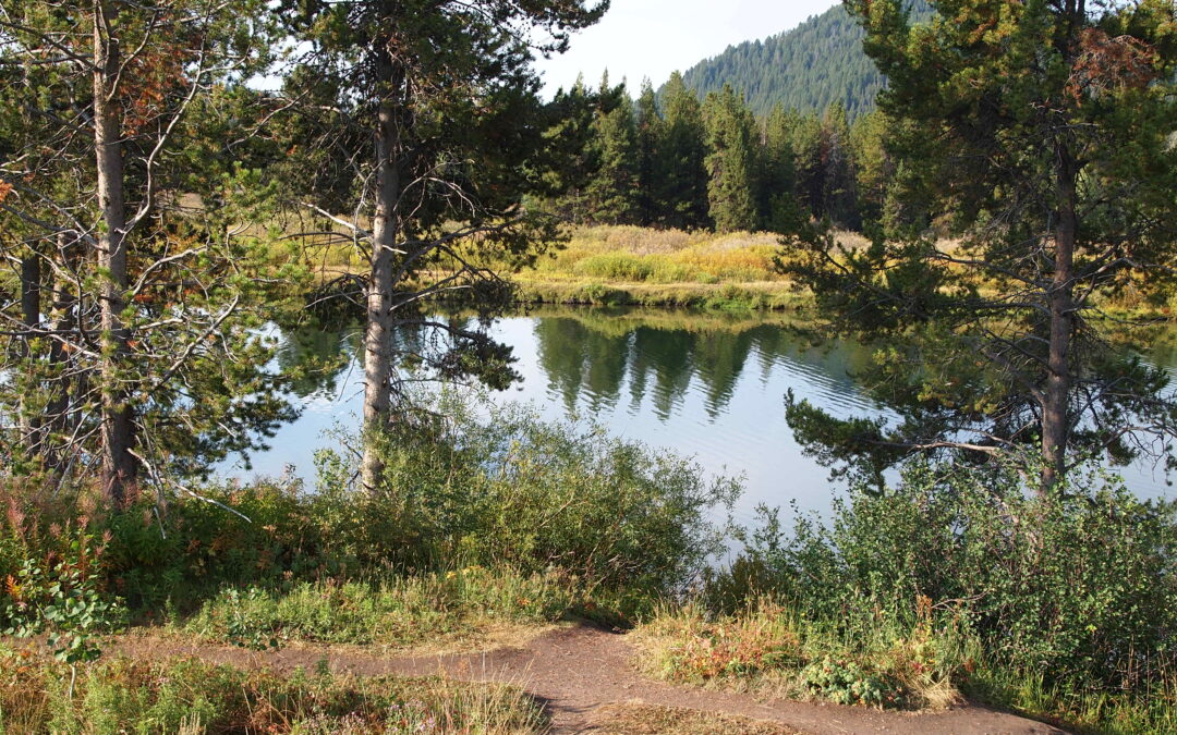 Take Hold of Faith and Freedom