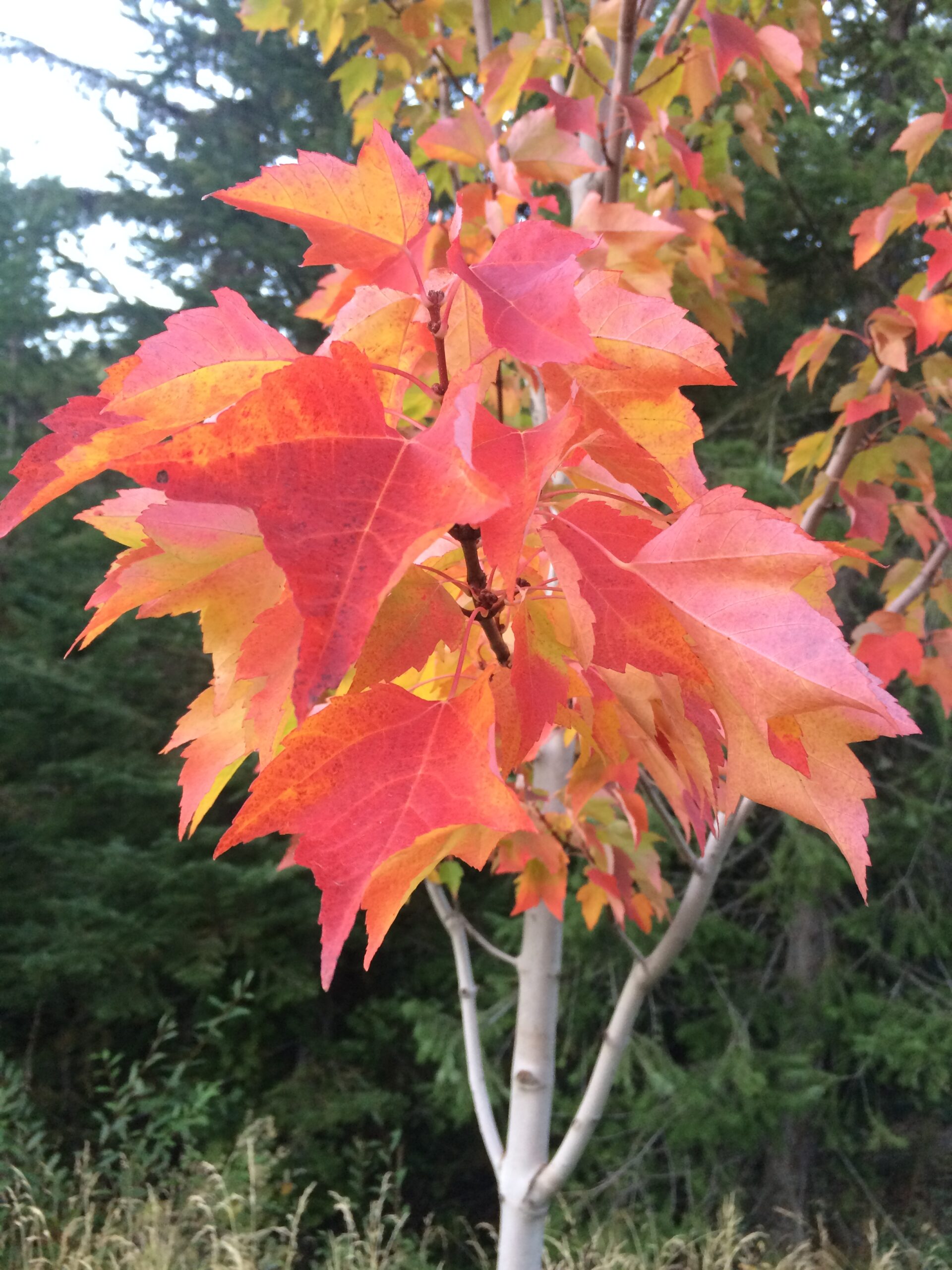 As Seasons Change So Do the Days of our Lives